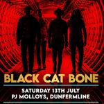 Black Cat Bone - PJ Molloys