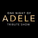 One Night Of Adele