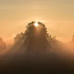 Ensemble El Sol