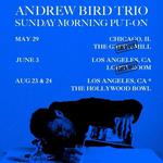 Andrew Bird Trio