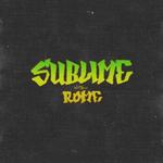 Sublime with Rome Farewell Tour - Asheville