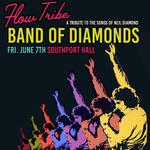 Flow Tribe Presents Band of Diamonds - Tribute to Neil Diamond