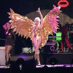 The Little Monsters Tribute to Lady Gaga