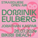Dominik Eulberg