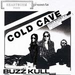 Cold Cave at the Chapel, San Francisco