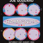Joe Goddard Live at The Workmans Club