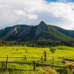 Meadow Music