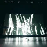 Alessandro Cortini