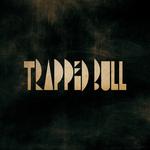 Trapped Bull live / Support: Dryhouse