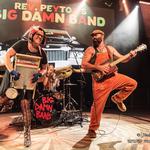 The Reverend Peyton's Big Damn Band