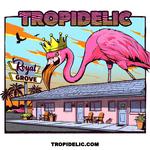 Tropidelic, The Quasi Kings, Tobyraps at Bogart's (Cincinnati, OH)