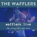 The Wafflers Band at Little Market