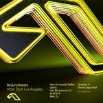 Anjunabeats Afterdark 