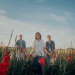 Willow Festival 2026