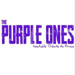 The Purple Ones - Insatiable Tribute to Prince