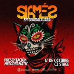 Siames in Guadalajara, Mexico