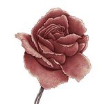 Louder Than Bombs: The Smiths/Morrissey cover band