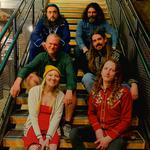 The Wild Honey Collective