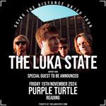 Purple Turtle