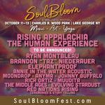 Soul Bloom Music & Wellness Festival 2024