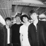 Lemon St Social Opening Night 