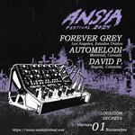 ANSIA FESTIVAL - FOREVER GREY + AUTOMELODI + DAVID P.