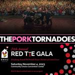 25th Annual Red Tie Gala, Des Moines, IA