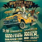 Monfort Blues Festival #16