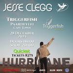 Jesse Clegg Live at Triggershish Brewing, Paardevlei