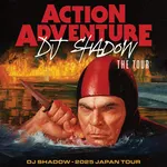 DJ Shadow