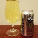 Nashville Recording Artist Nate Michaels performs at Rootstock