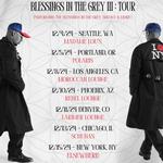 AKTHESAVIOR - Blessings In The Grey III: Tour