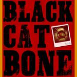 Black Cat Bone - Plus Special Guests