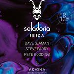 Seladoria x Akasha Ibiza