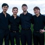 The Dolphins Quartet