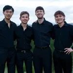The Dolphins Quartet