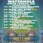 The Big Takeover at Winter Carnival Post Parade Party at Waterhole Music Lounge