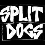 Split Dogs