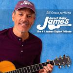 Sweet Baby James - The #1 James Taylor Tribute