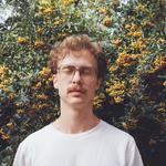 Almost Twins die naTo