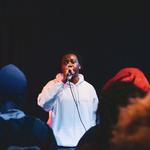 Ottawa Bluesfest 2026