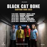 Black Cat Bone + Support