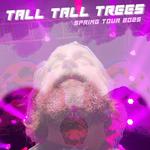 Tall Tall Trees w/ Andrew Scotchie