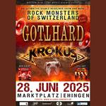 Rockmonster of Switzerland in Ehingen