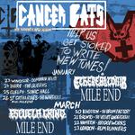 Cancer Bats