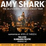 The Solo Acoustic 'Songs & Stories' Tour