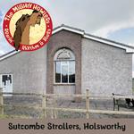 Howlin' with The Sutcombe Strollers