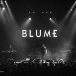 Blume