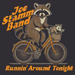 Joe Stamm Band at Main St Events Center - Brooklyn WI