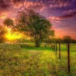 Mountains In the Sea